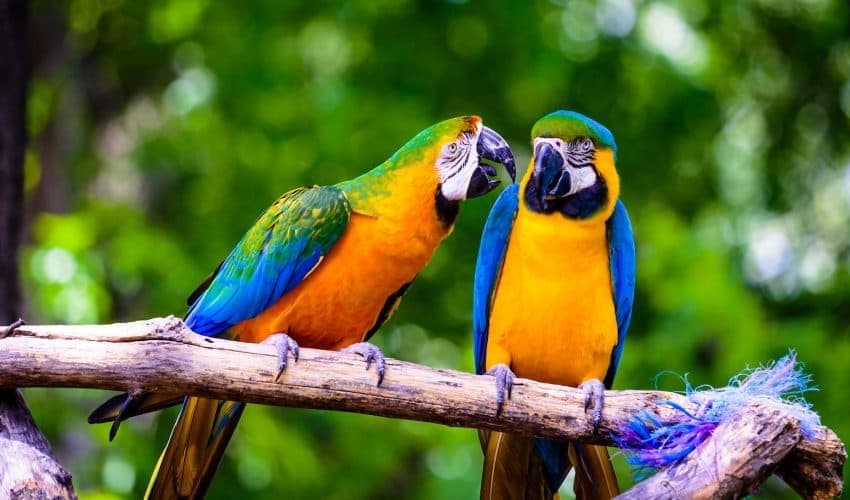 “팀장님, 저도 미리 좀 사둘 걸 그랬어요.”