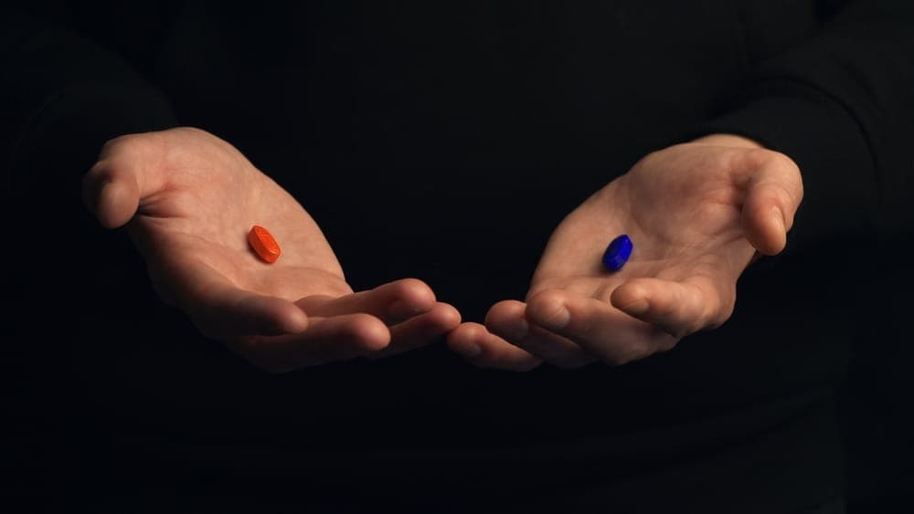 절대적 진리, 그리고 투자 썸네일 이미지