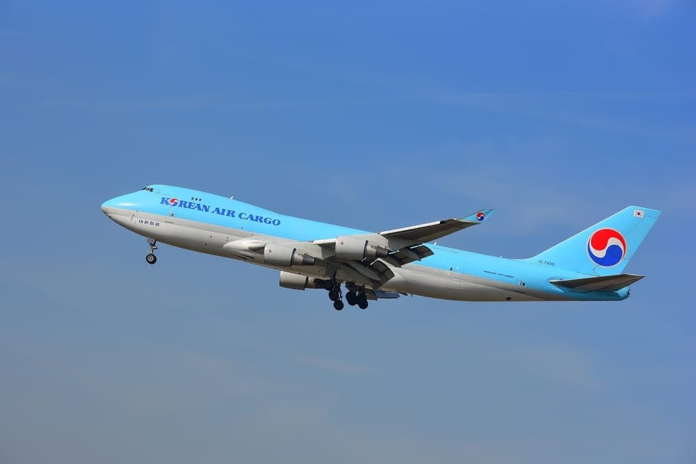 미국 주식시장에서 인생역전 노리는 한국 개미들 썸네일 이미지