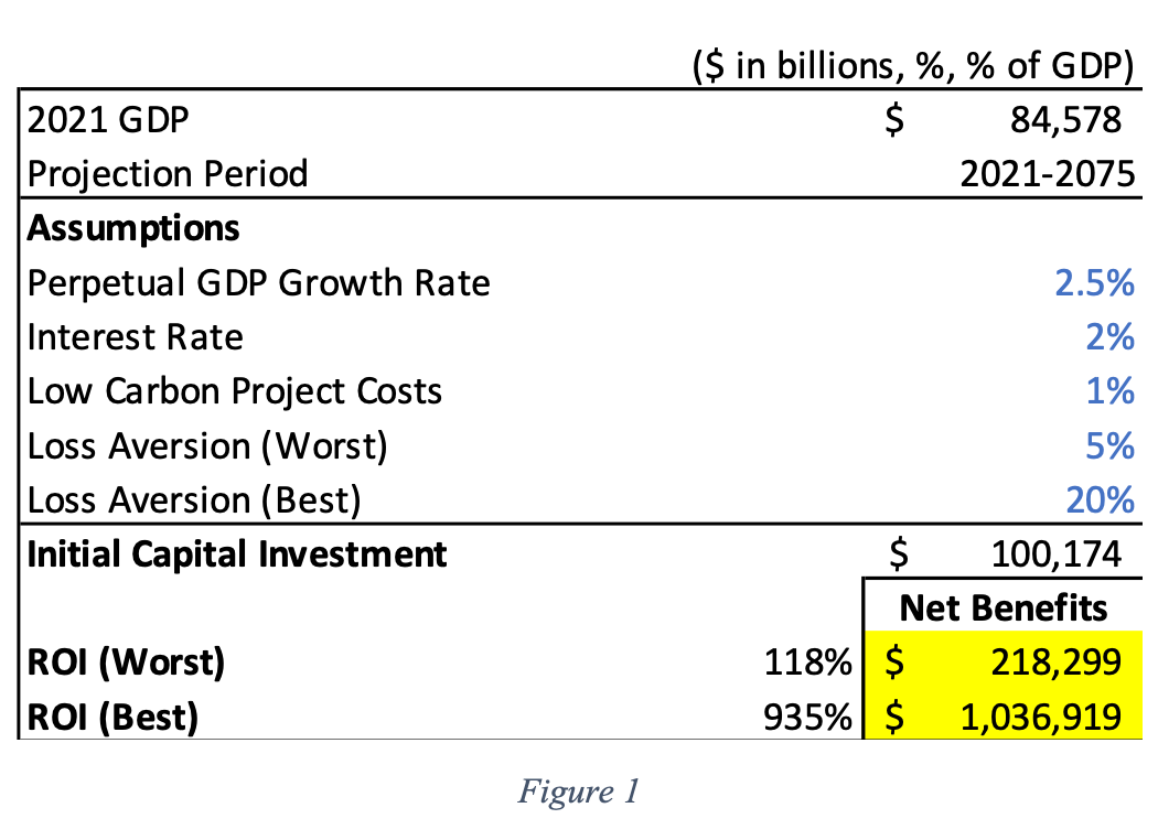 Economics of Zero Carbon Society. Investment Returns.